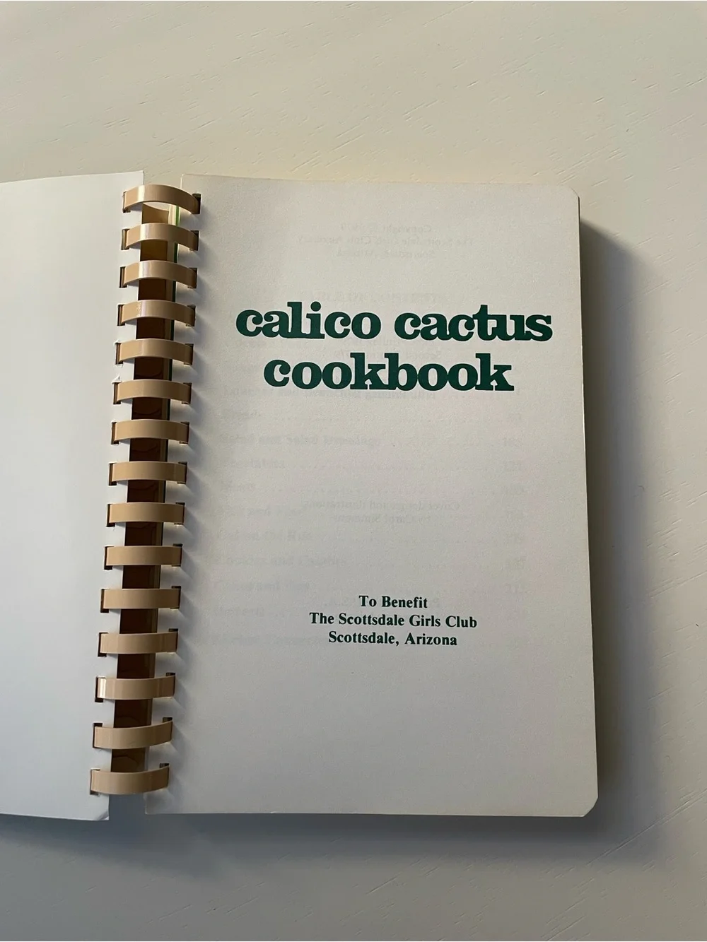 Vintage 1987 Calico Cactus cookbook Scottsdale Girls Club Arizona recipes